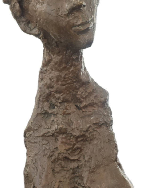 680012f846891a342f50c5304a607e2f-damiano-buste-femme.png