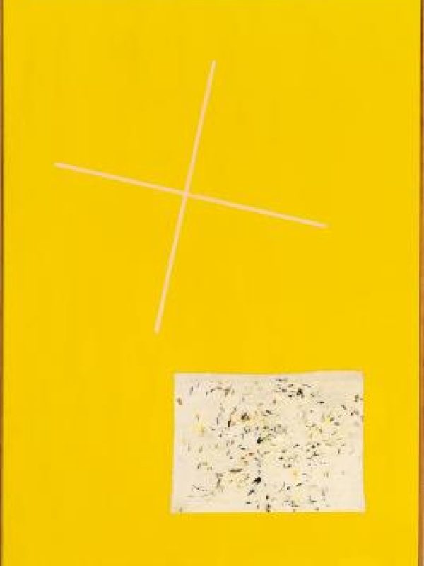 d88c9be1b83579d258bb922dbfbe61fb-leppien-chiffon-relique-et-basta-sur-fond-jaune-6-83-xvi-j.jpg